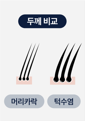 다양한 성질