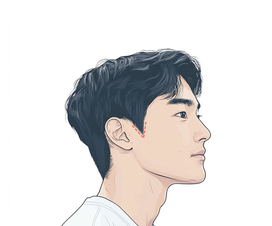 브이형드 구레나룻